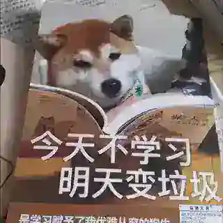 开心废物