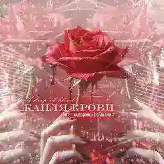 ᴋᴀᴨᴧя ᴋᴩоʙи 🩸