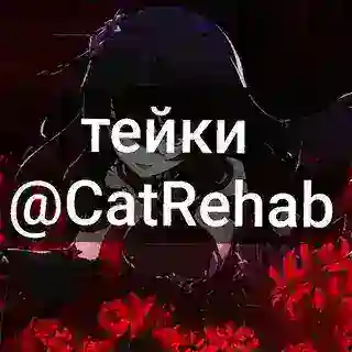 предложка @CATREHAB