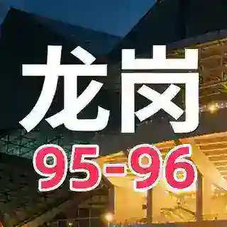 龙岗95-96部长预约