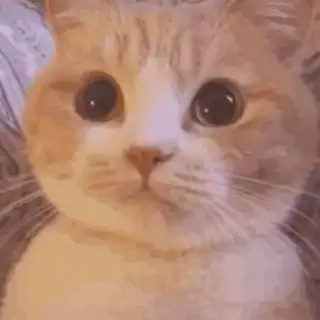 7498猎魔