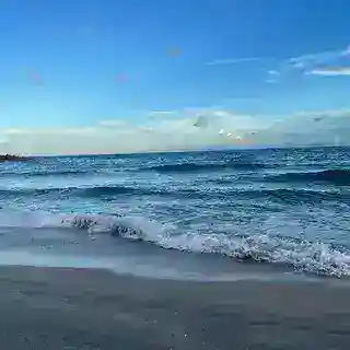 阿信双向机器人