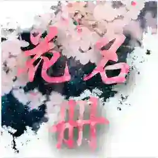 花名册双向机器人