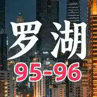 罗湖95-96部长预约