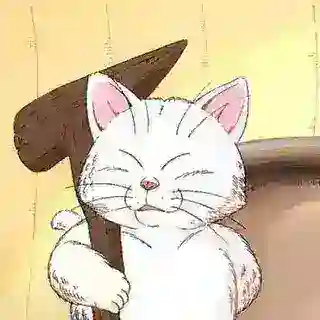 卡林仙人