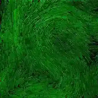 .патогенные тейки