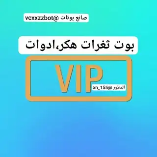 بوت ثغرات هكر ادوات بايثون