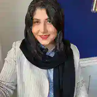 negin seyfchi