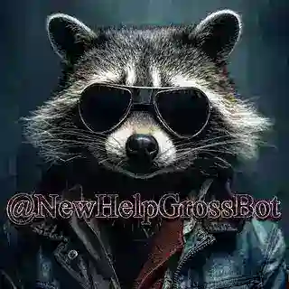 NewHelpGrossBot - support