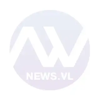 Бот NEWS.VL