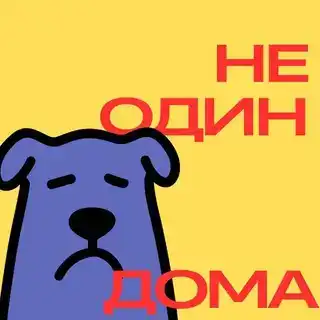 Не один дома. Бот.