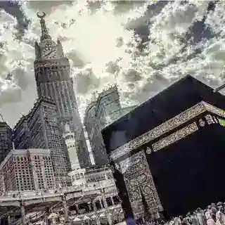 تواصل الإدارة 💎.