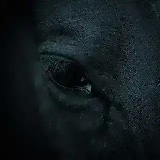 لـِ عُـمَـرْ