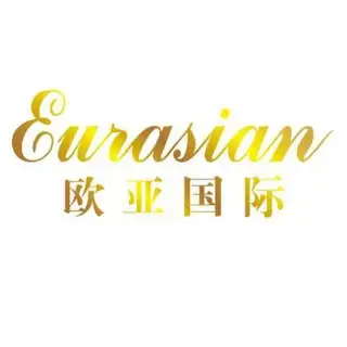 新欧亚国际双向联系