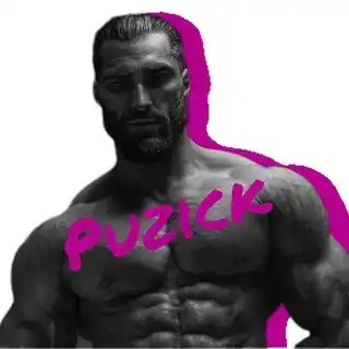 PUZICK SEARCH