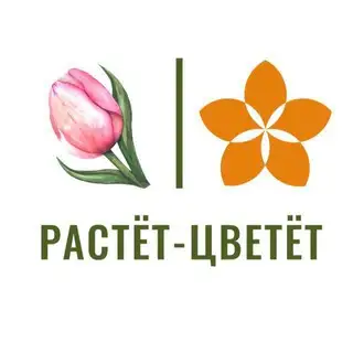 Растёт-Цветёт | Доставка цветов Воронеж