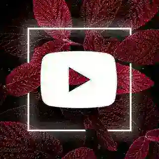 Youtube shorts bot🇺🇿