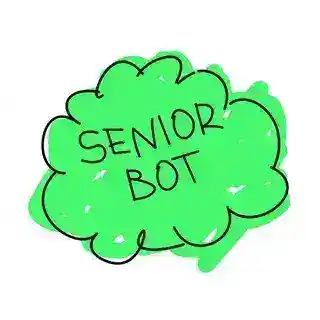 Senior Designer Bot