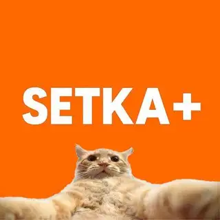 Вступити SETKA+
