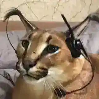 Spotify Bot