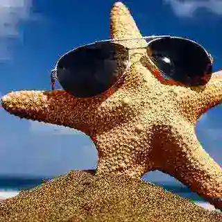 海星短信轰炸机器人永久免费