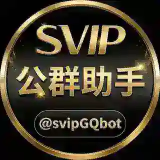 贵宾担保公群助手