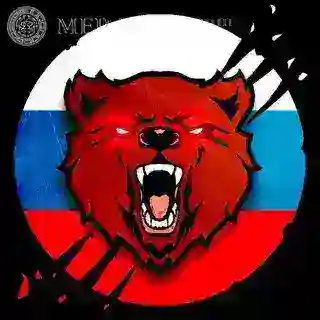 Обратная Связь