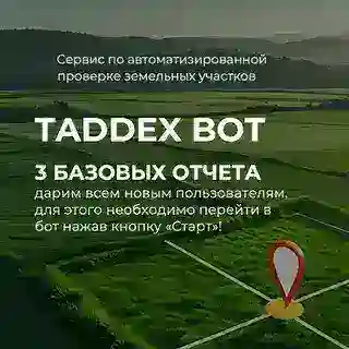 TADDEX bot