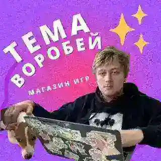 temavorobey 💬 (онлайн)