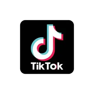Tiktok Downloader