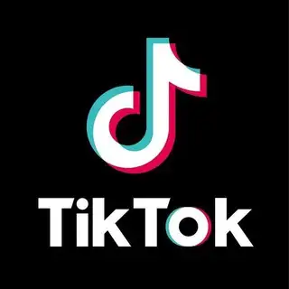 تیک تاک دانلودر | TikTok Downloader