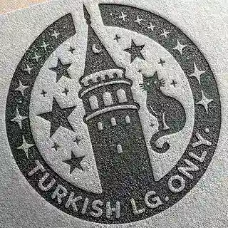 Викторина «Туркиш онли»