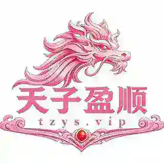 天子盈顺 机器人