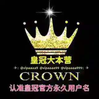 皇冠服务类🤖双向机器人
