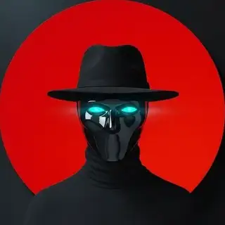 VPN4