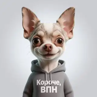Короче VPN 🛜 Стандарт