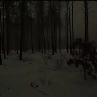 VHS conf тейке