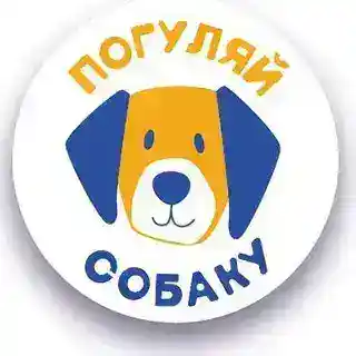 Погуляй собаку (бот) 🤖