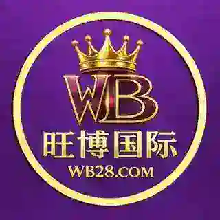 旺博国际机器人@wb28