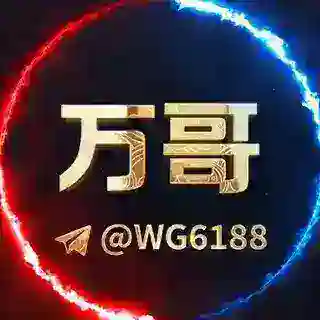 万哥出海双向客服