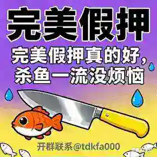 完美假押 高仿担保假押群 最逼真的假押