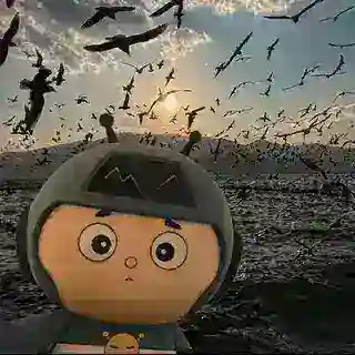 小小怪套图双向组手