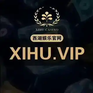 西湖机器人