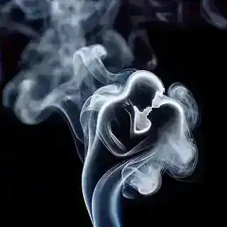 新纪元双向机器人