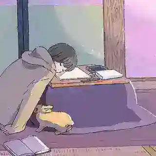 تواصل قناة study