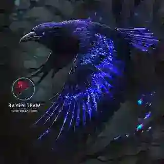 Raven Store