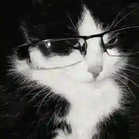Б᧐ᴛ д᧘я ʙᥲɯᥙ᥊ ᤋᥲᥰρ᧐ᥴ᧐ʙ