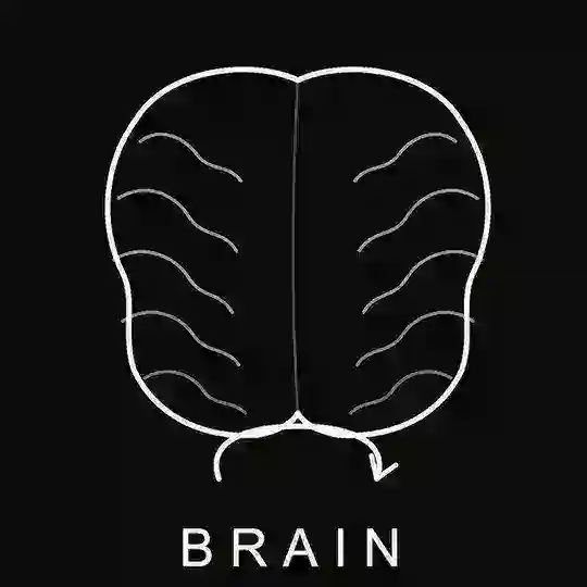 bot Brain management