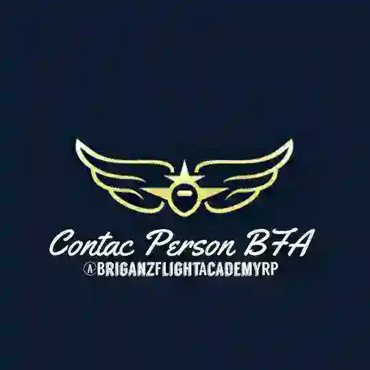 飛𝔅'BFA Help