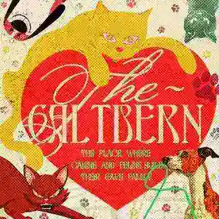 Caltbern’s Belonging. 🐾